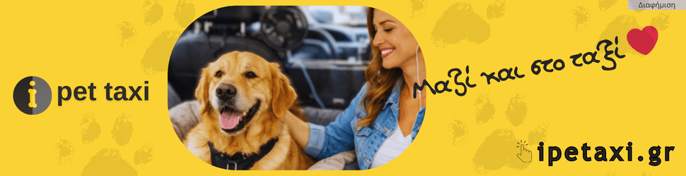 i-pet-taxi-ipetaxigr-ταξι για κατοικιδια